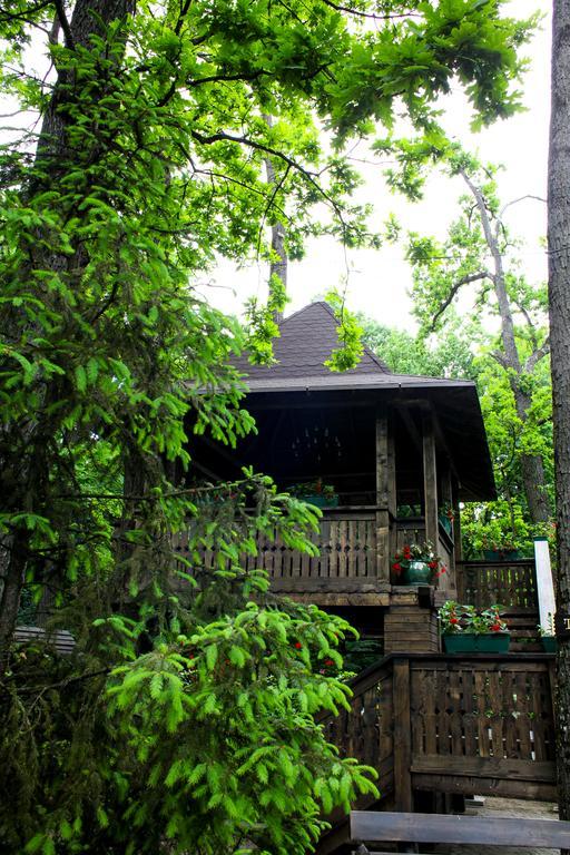 Cornul Vanatorului Bungalows Piteşti Exterior foto
