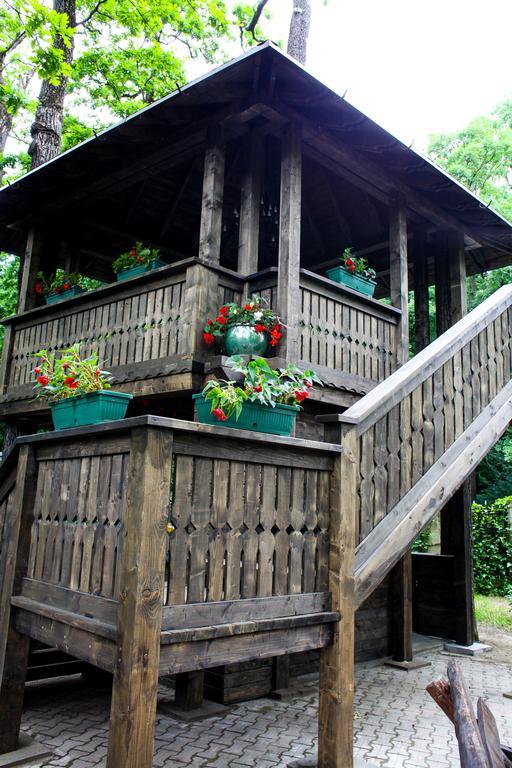 Cornul Vanatorului Bungalows Piteşti Exterior foto