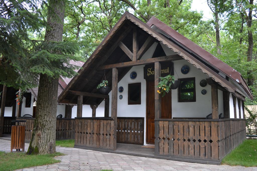 Cornul Vanatorului Bungalows Piteşti Exterior foto