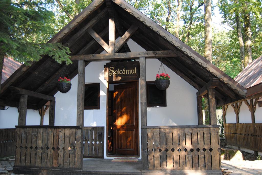 Cornul Vanatorului Bungalows Piteşti Habitación foto